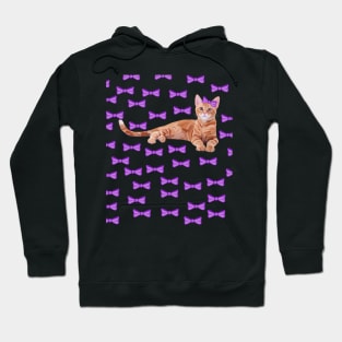 Ginger Cat with Purple Bow Pattern Hoodie